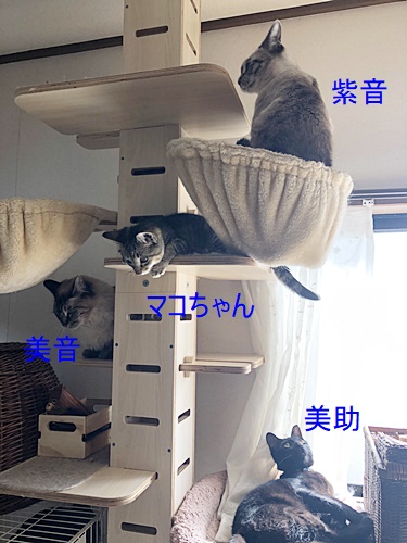 男子