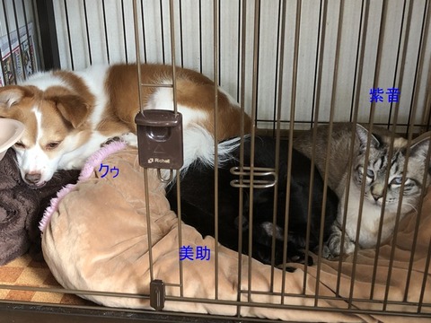 3人さん