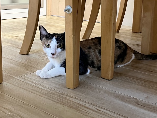 歩