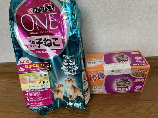 フード