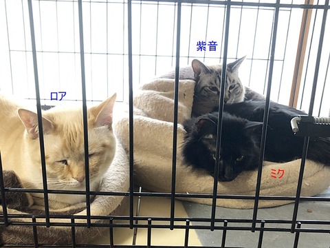 仲良し