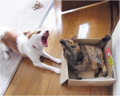 pageお二人
