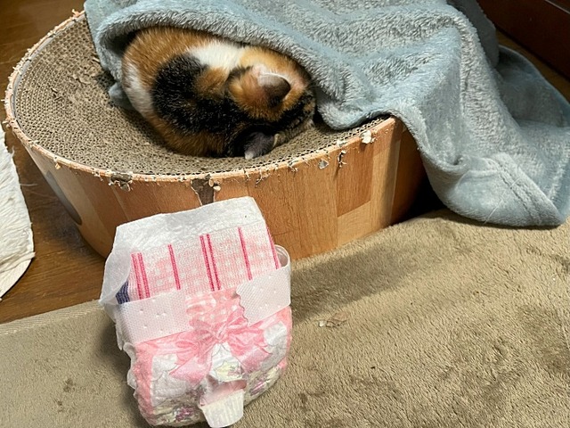 みふ