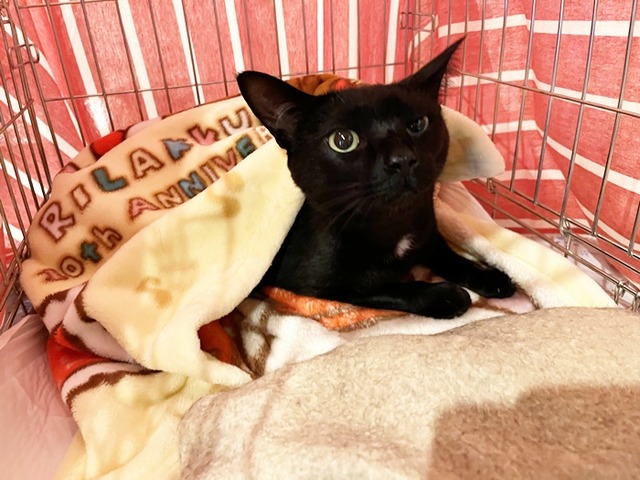 クロム