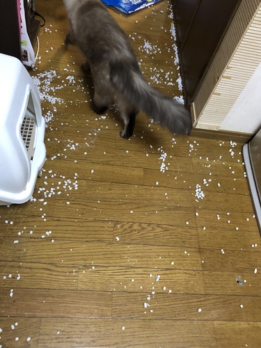 反対側