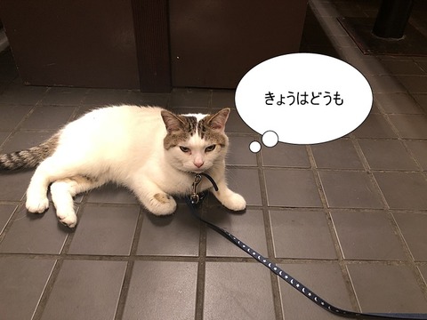 部長挨拶