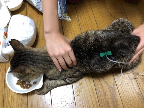 ナルト点滴j