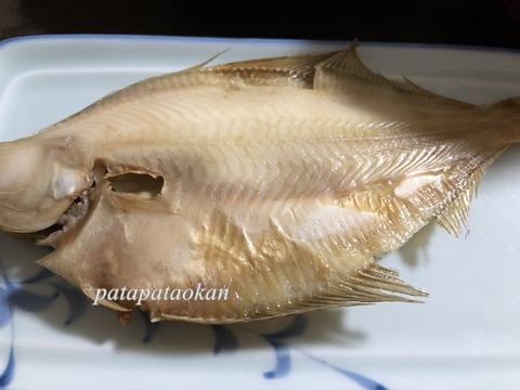 カレイ