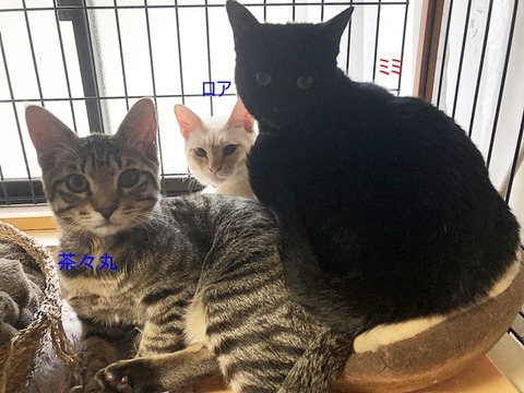3人