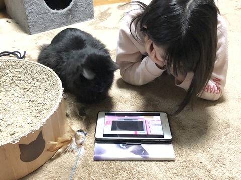 nanaちゃんと