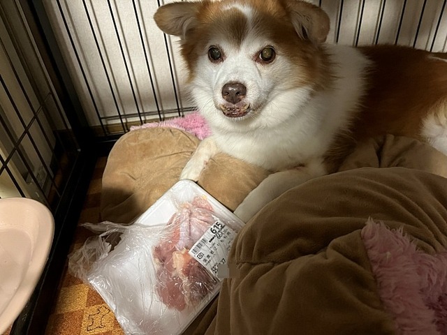 お肉