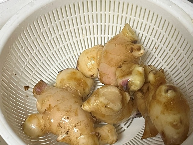 新生姜