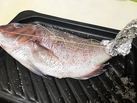 鯛