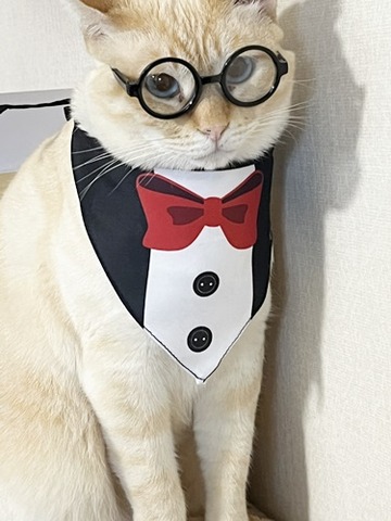 ロアタキシード