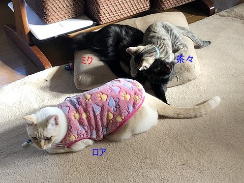 3人さん