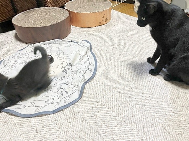 クロムと