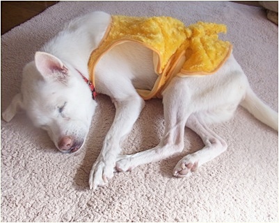 yuki_20140129114349d01.jpg