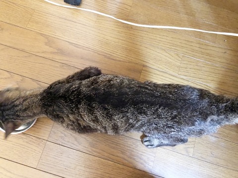 細い