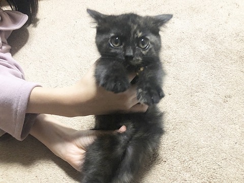優真