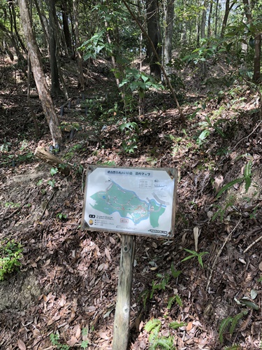 山道