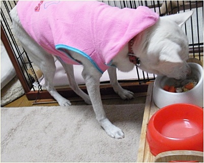 yuki_201311221418156f8.jpg