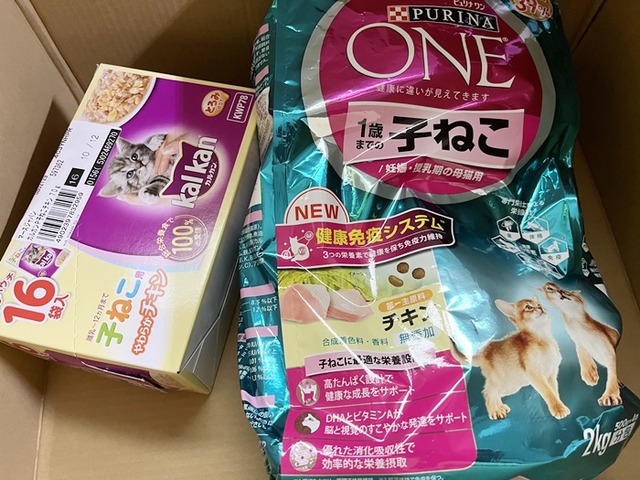 ご支援