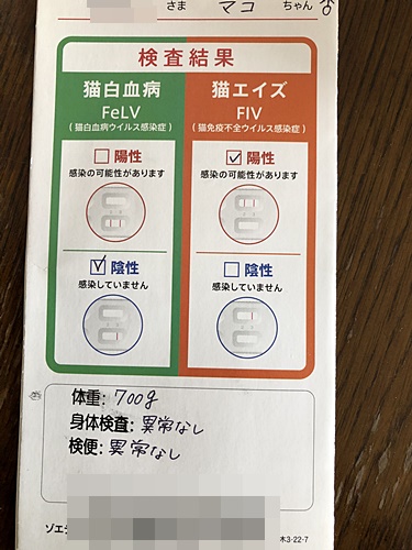 陽性