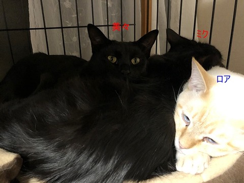 3人