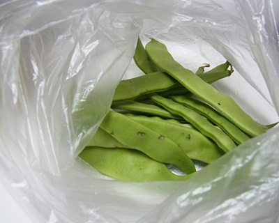 豆