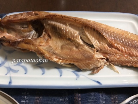 ホッケ
