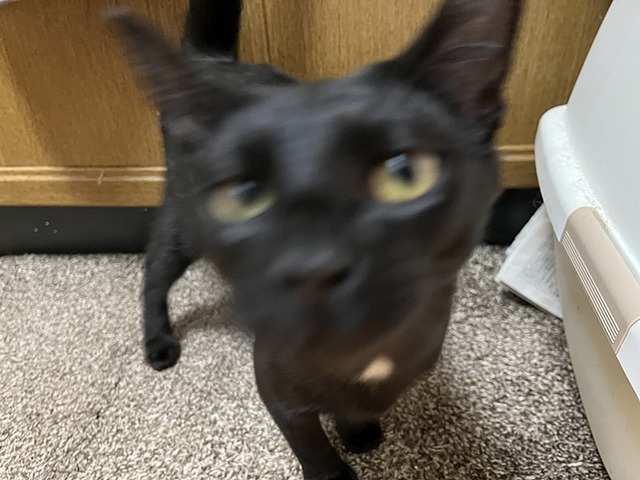 クロム