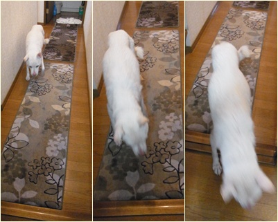 page走る
