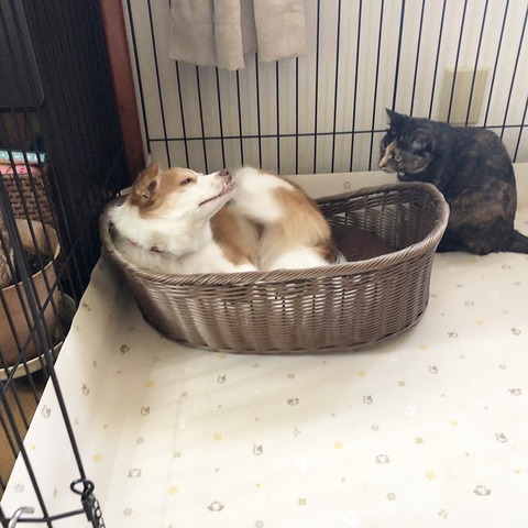 お二人