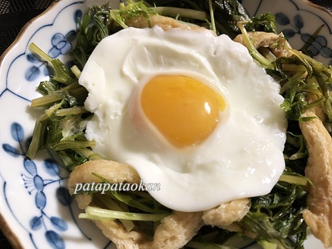 水菜