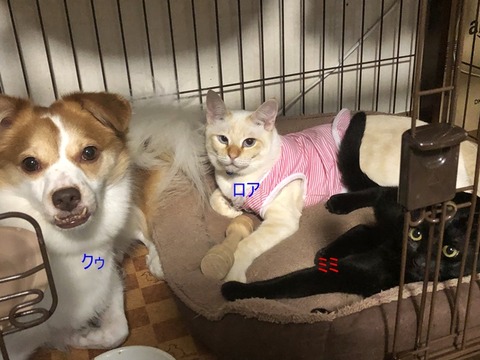 仲良し