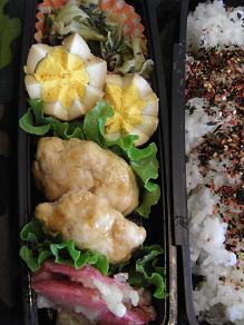 ROT02699お弁当