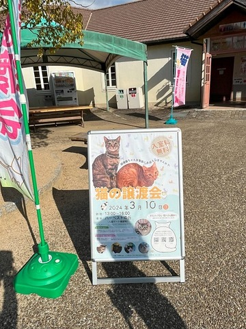看板