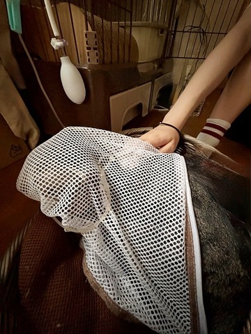 輸液
