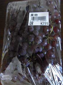 ROT02599ぶどう
