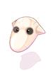THA_DOLOR_MASK