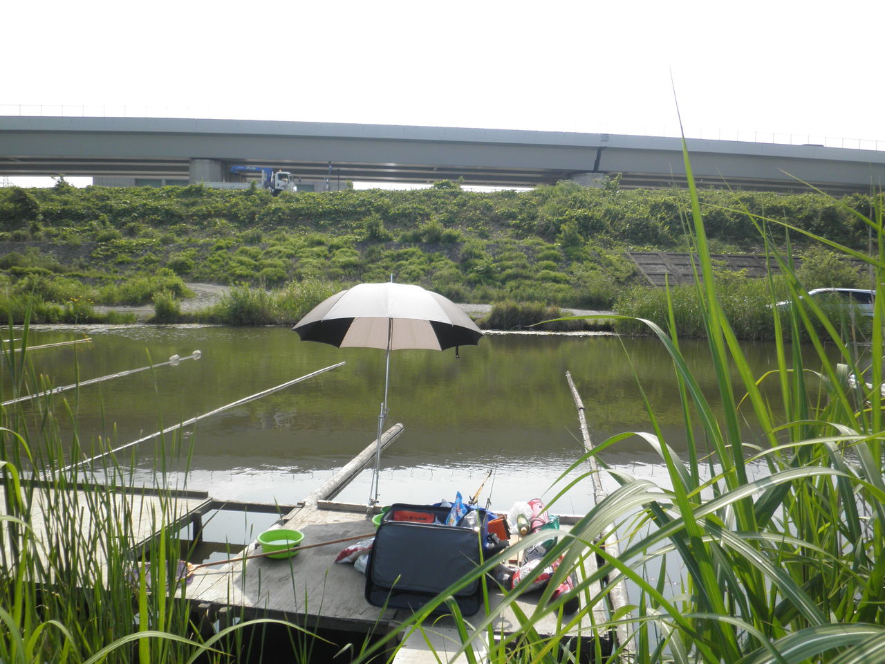 海老名運動公園ｎｏ３ タムタムのへらぶな日記