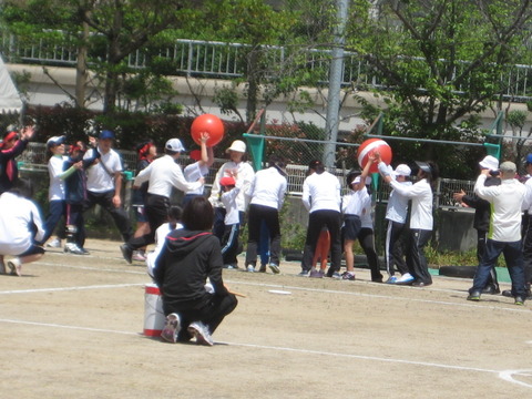 盲学校の運動会に行ってきました。