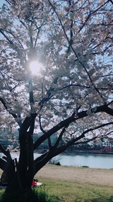 2AE20DB3-A925-4C11-8148-BAA0D085CFDA