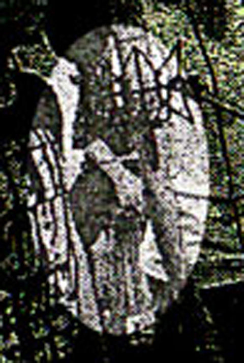 Paty Roma 音あそび 10年10月