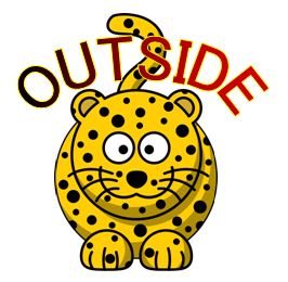 outside leopard