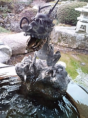 ڻ ͯε