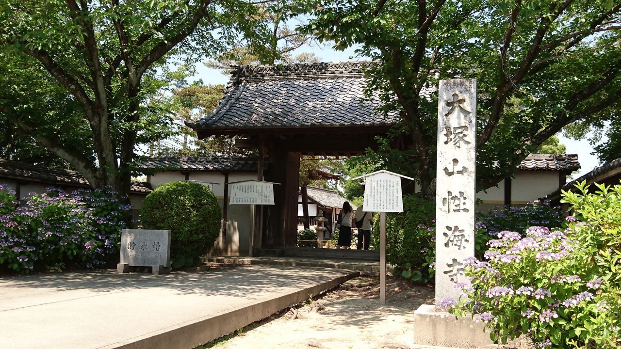 稲沢あじさいまつりに行って来ました 40代夫婦の暮らし日々是好日