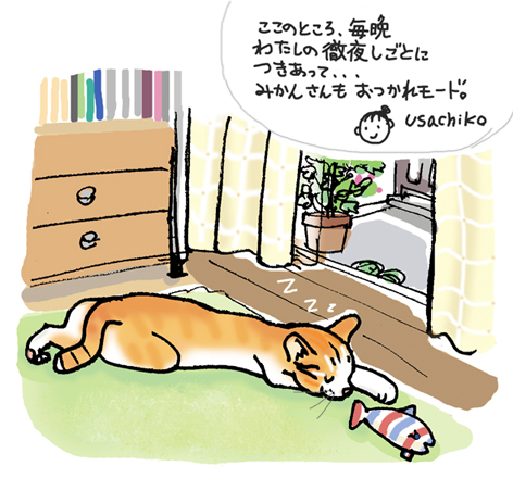 昼寝2009.6.12