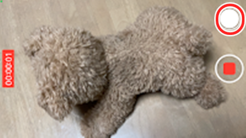 20241102-ip-003