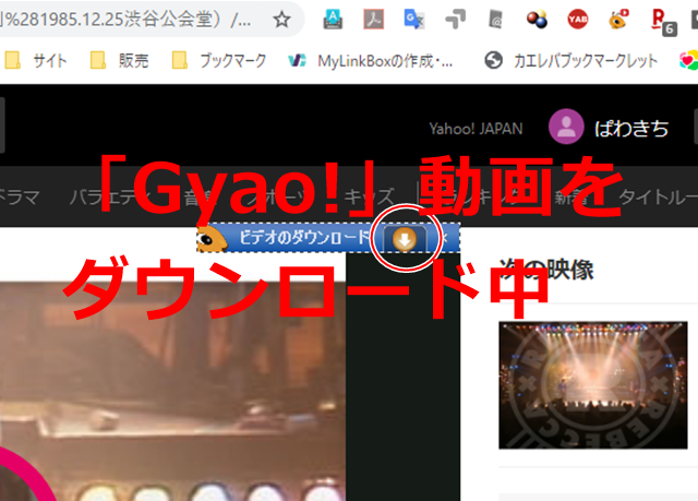 セガレの知恵袋 検証 Tver Gyao 動画をダウンロードする Chrome Firefox の拡張機能 現在は Ant Download Manager が有効のよう